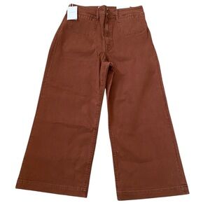 New unpublished by anthropologie brown pants women’s size 31